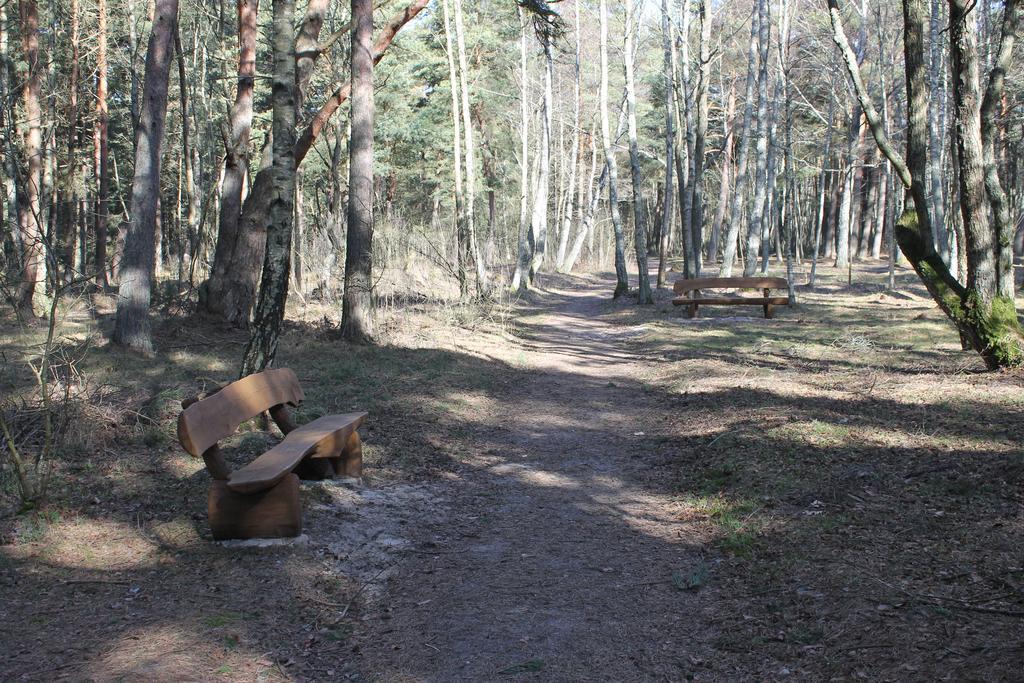 Studio Pluke Palanga Kültér fotó