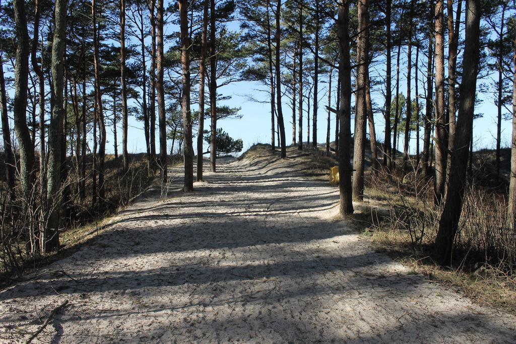 Studio Pluke Palanga Kültér fotó