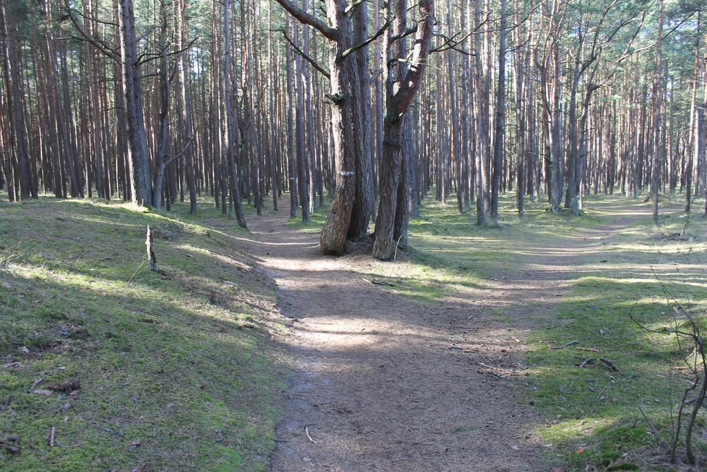 Studio Pluke Palanga Kültér fotó
