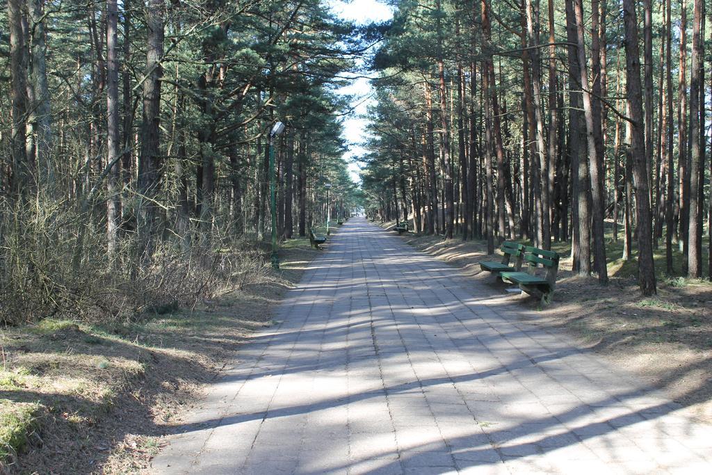 Studio Pluke Palanga Kültér fotó
